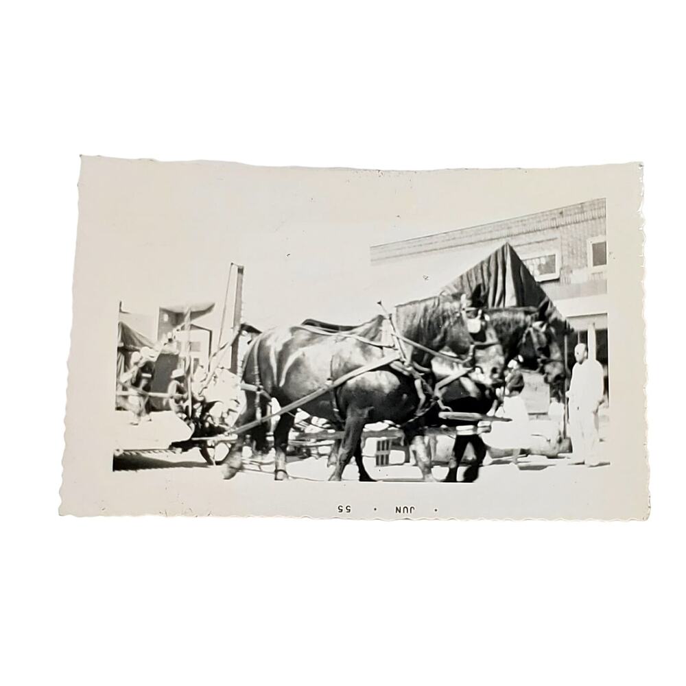 Vtg B&W Original Photo 1955 Found Horses Working Pulling Carriage Snapshot
